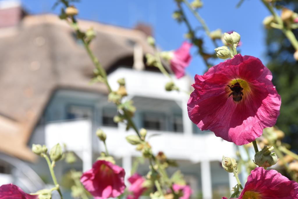 Romantik Hotel Fischerwiege Аренсхоп Экстерьер фото